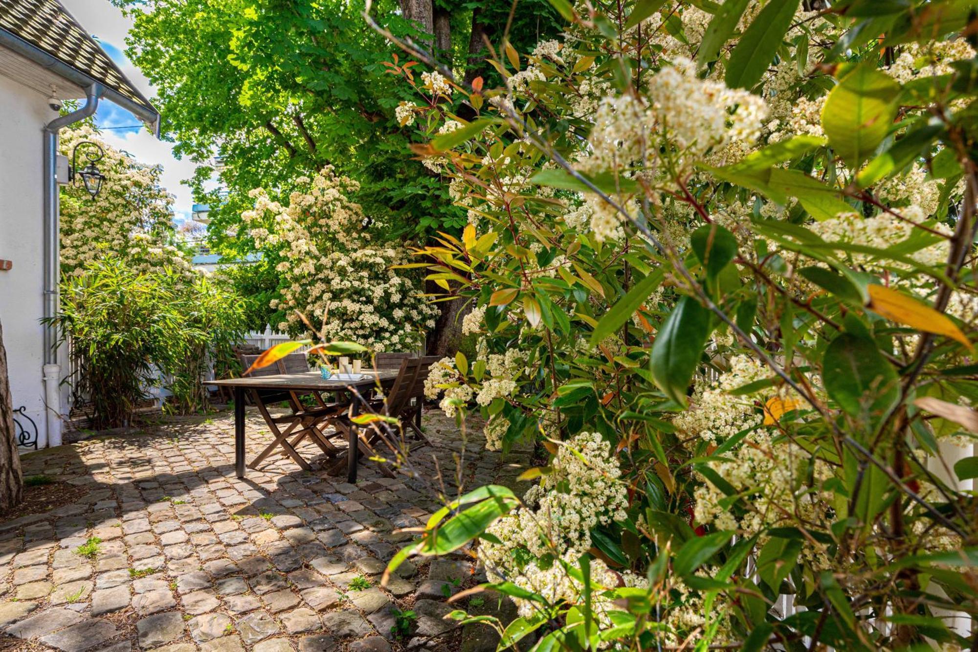 Grand & Classy With Private Garden, Des Ammonites Apartment